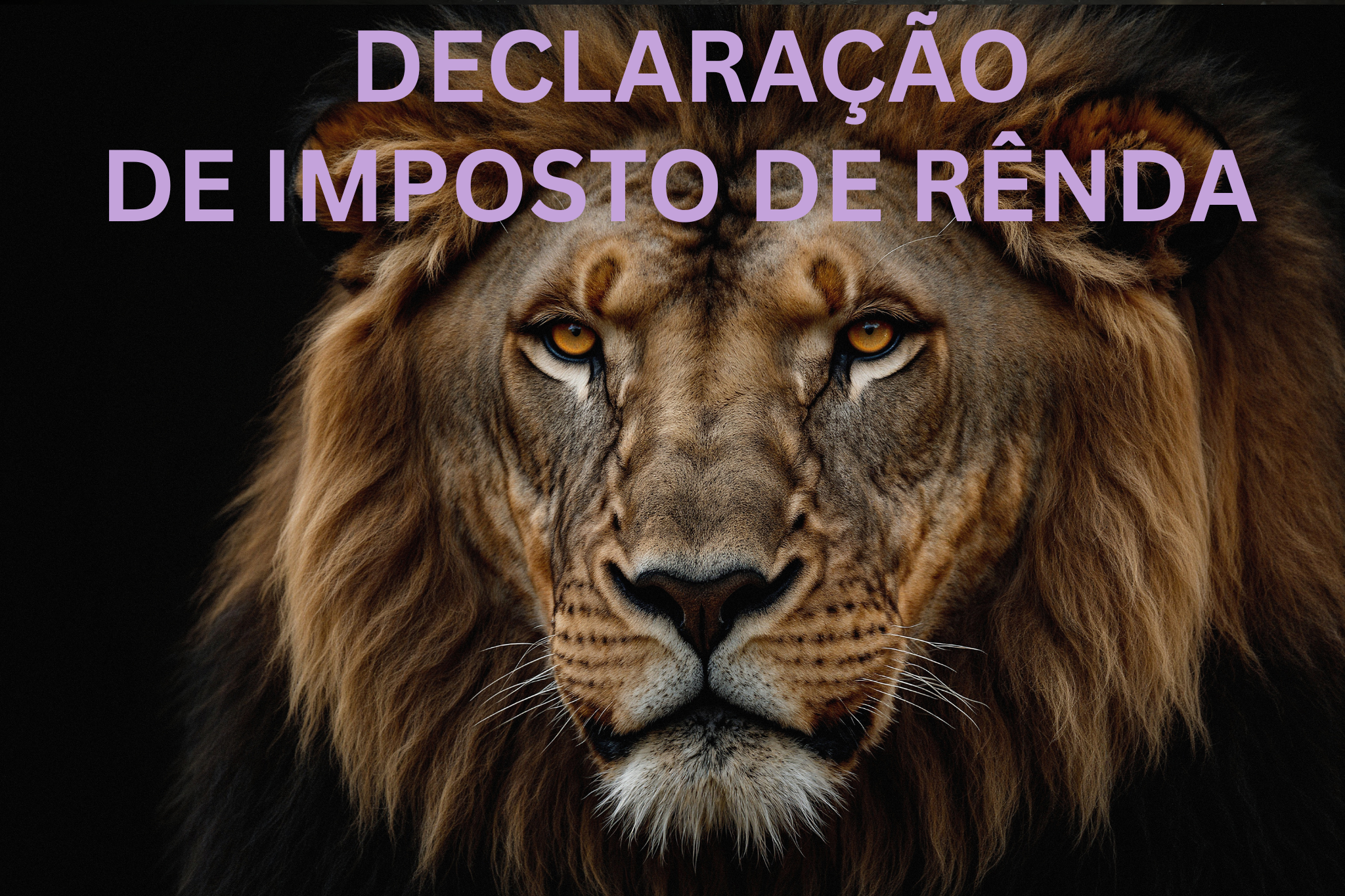 Como Declarar Imposto de Renda em 2026: Guia Completo Passo a Passo para Não Errar